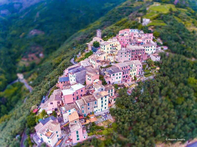 Cinqueterre - Terrace And Beautiful View Apartment Levanto Exterior photo